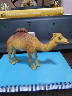 (Category: ) located in . Submitted by khoohp76 (Listing ID 1036829287, Image 1). Description: .