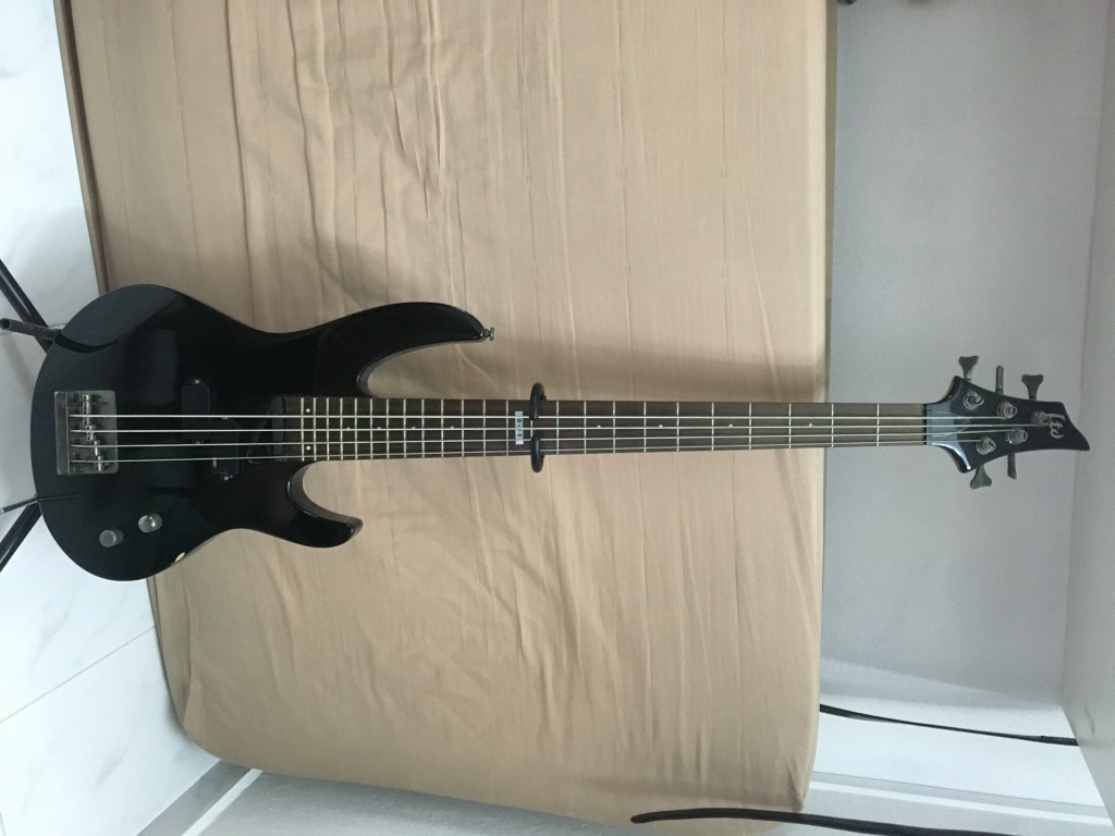 Esp ltd b15 2024 5 string bass