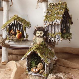 (Category: ) located in . Submitted by crazyplantlovers (Listing ID 1036809611, Image 1). Description: .