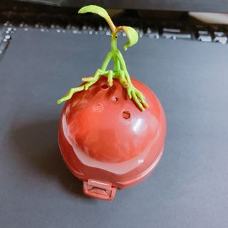 （分類：）位於 。 由 jojogalaxy 提交（商品編號 1036799565，圖片 1）。簡介： 。