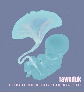 Khidmat tanam uri/placenta bayi