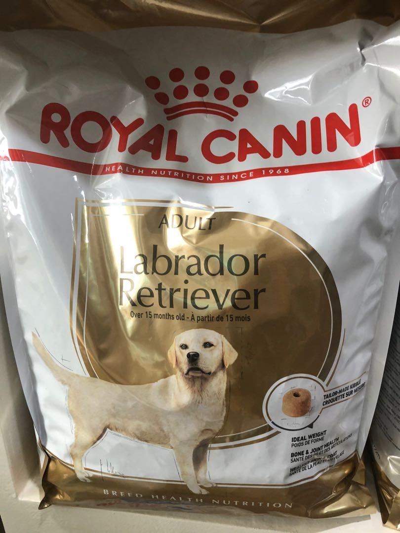 Royal Canin Labrador Adult 3kg Pets Supplies Pet Food On Carousell
