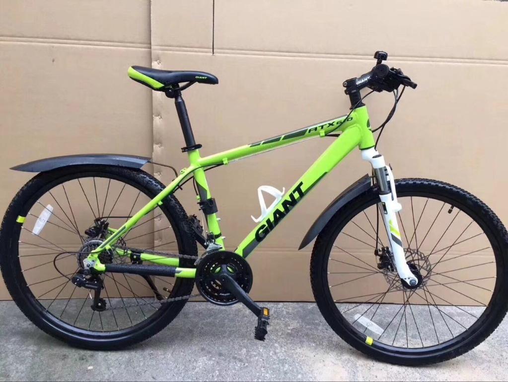 bird bicycle