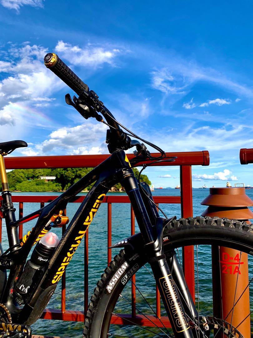 2019 stumpjumper shop carbon