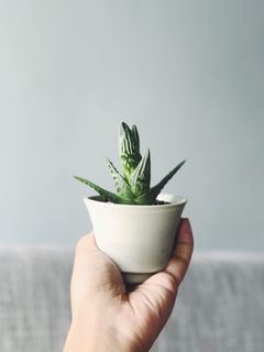 （分類：）位於 。 由 pristinelai 提交（商品編號 1036947005，圖片 1）。簡介： 。