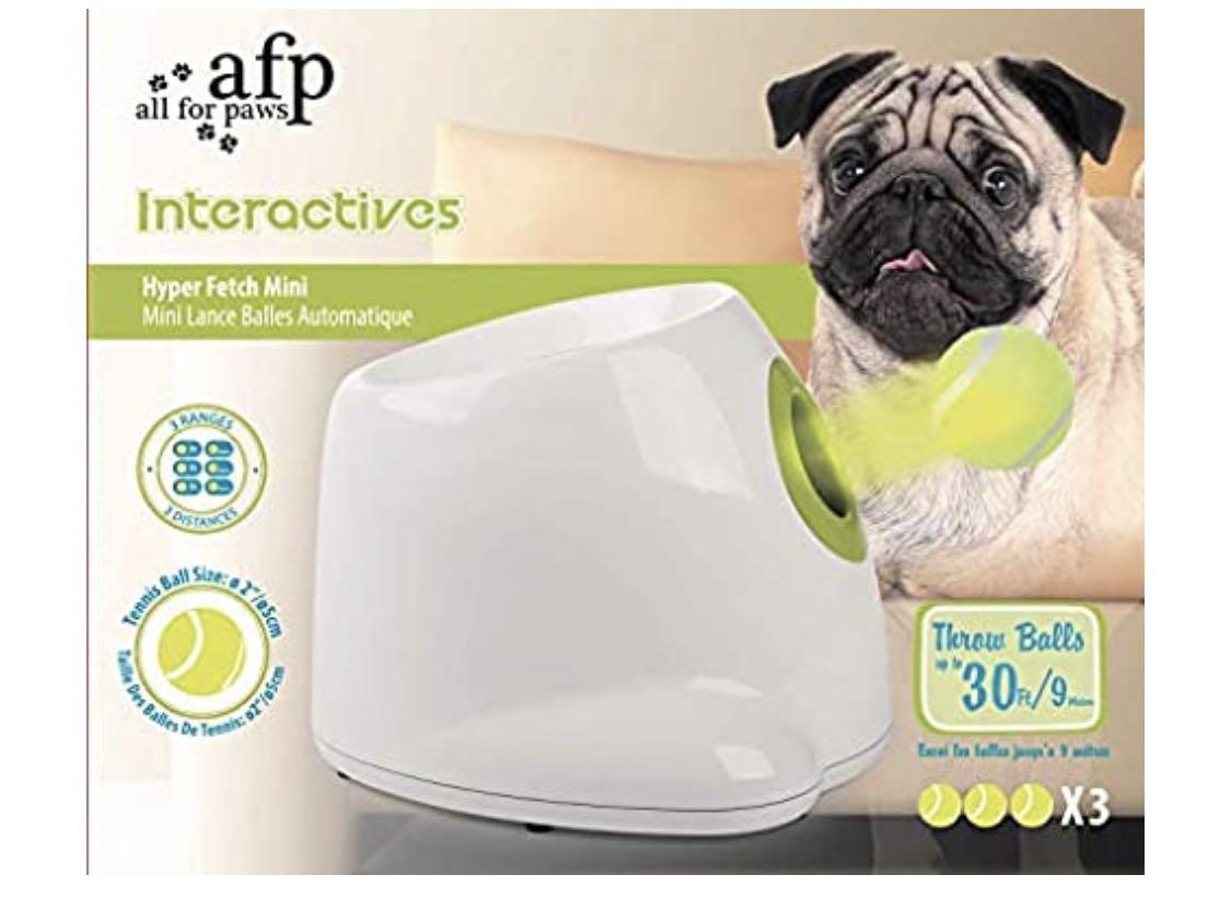 All For Paws AFP Interactives Hyper Fetch Mini Pet Supplies Homes Other Pet Accessories on Carousell