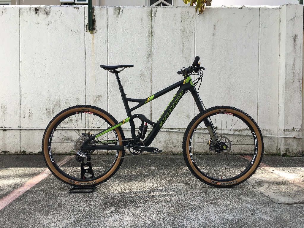 cannondale jekyll carbon team