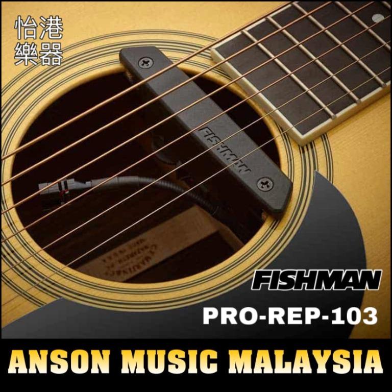 フィッシュマン　レアアースブレンド Fishman Rare Earth Blend 103 Fishman Rare Earth BLEND 箱付き