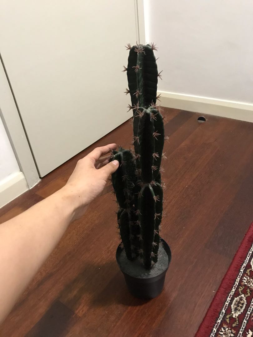 IKEA cactus artificial, Furniture & Home Living, Home Decor, Artificial