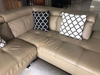 (Category: ) located in . Submitted by nancytann (Listing ID 1036843120, Image 1). Description: .
