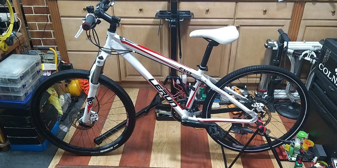 lerun evo race 27.5 review