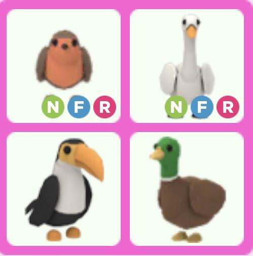Toucan Drake Nfr Robin Nfr Swan Adopt Me Roblox Toys Games Video Gaming In Game Products On Carousell Pet leveling guidegiving advice (self.adoptmerbx). toucan drake nfr robin nfr swan adopt me roblox