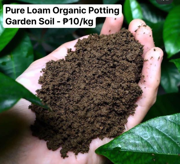 Vermicast Organic Fertilizer Loam Pure Mixed Coco Peat Gardening Garden Tools Supplies On Carousell