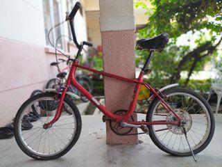 raleigh elia ladies mountain bike