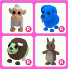 Clearance Sale Adopt Me Ride Pets Bundle Albino Monkey Kangaroo Zombie Buffalo Blue Dog Toys Games Video Gaming In Game Products On Carousell - the monkey roblox