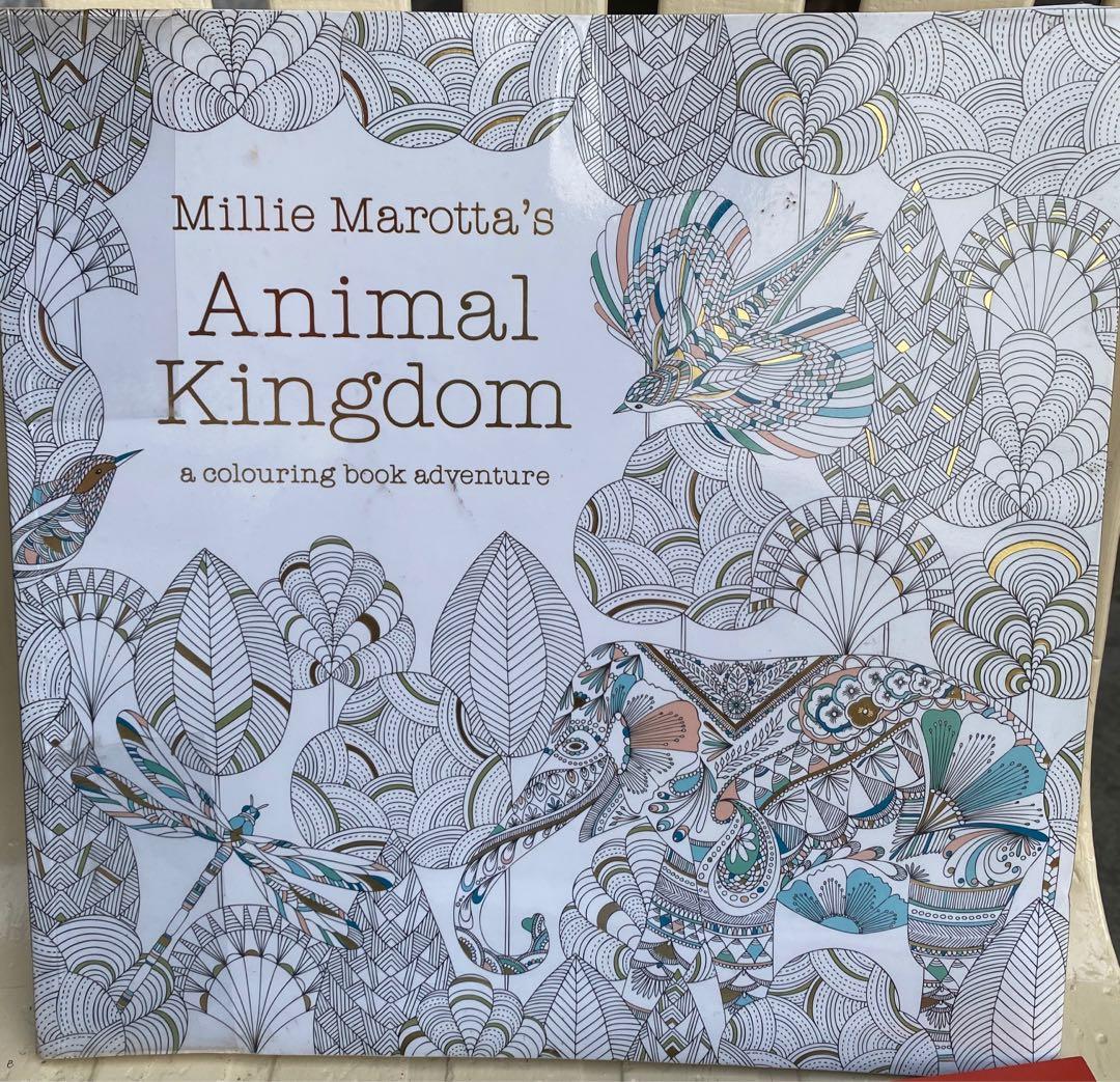Download Animal Kingdom By Millie Marota Adult Coloring Book Hobbies Toys Books Magazines Children S Books On Carousell