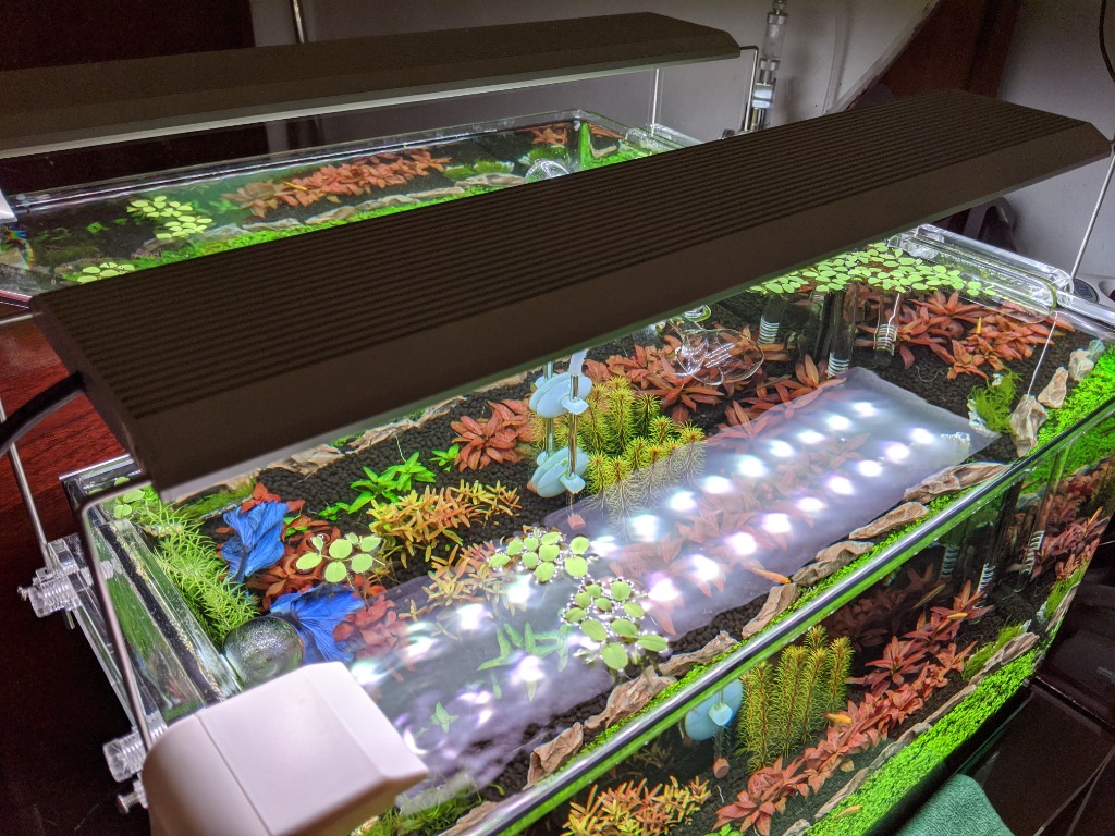 chihiros rgb a451 plus led new edition oct 2019