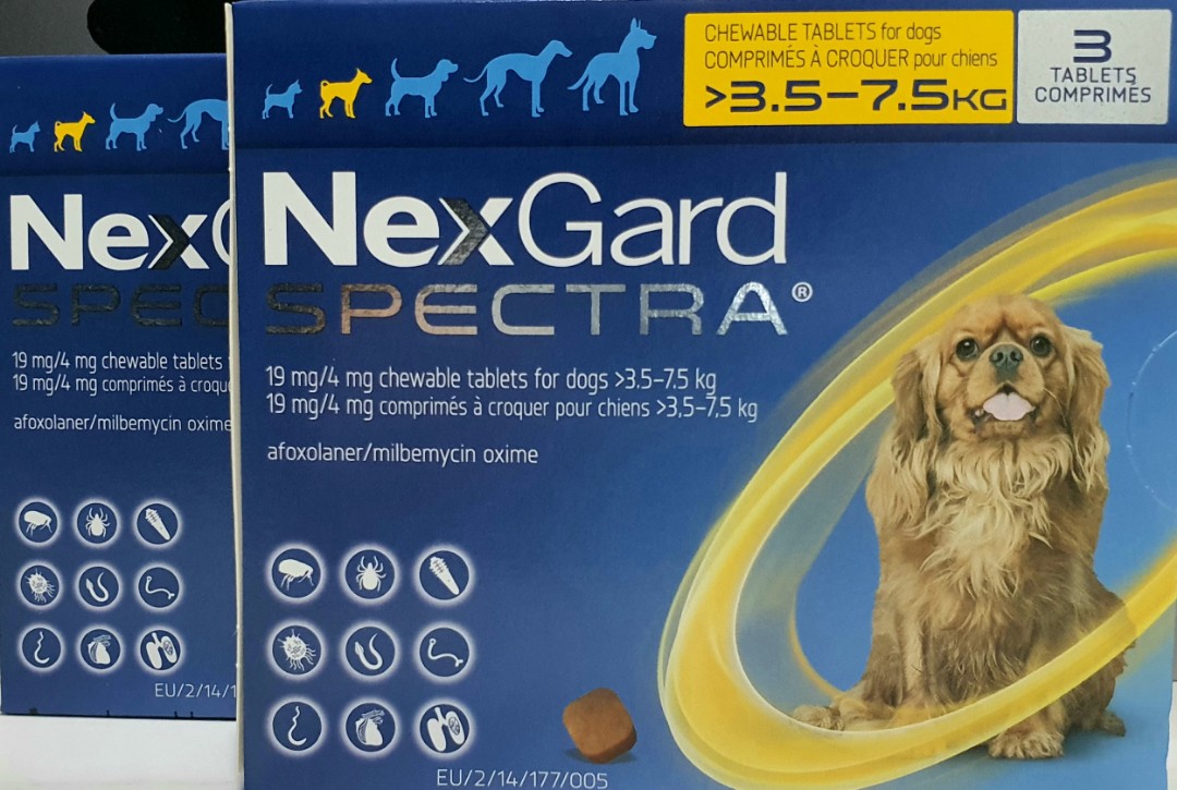nexgard spectra small dog
