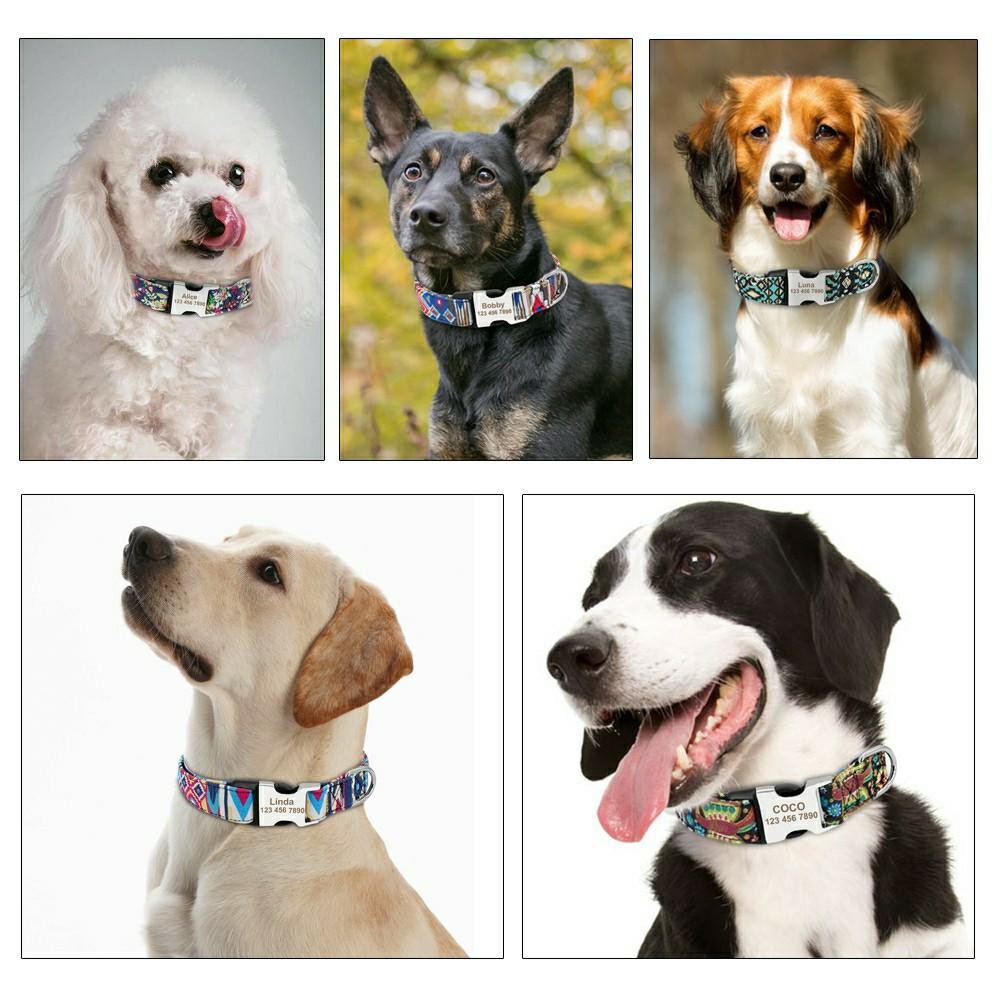 dog collars customized name
