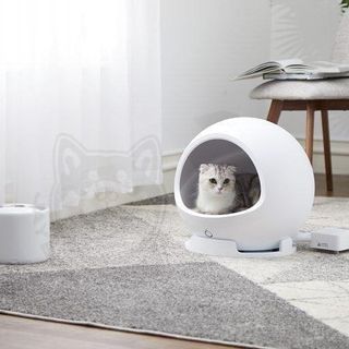 （分類：）位於 。 由 jaybudd_petsalon 提交（商品編號 1037202353，圖片 1）。簡介： 。