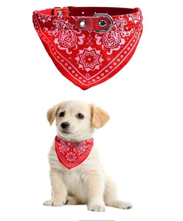 Dog with red hot sale scarf
