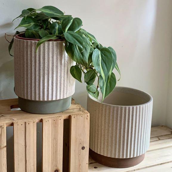 Limited Stock Rome Roman Column Ceramic Planter Plant Pot Gardening Pots Planters On Carousell