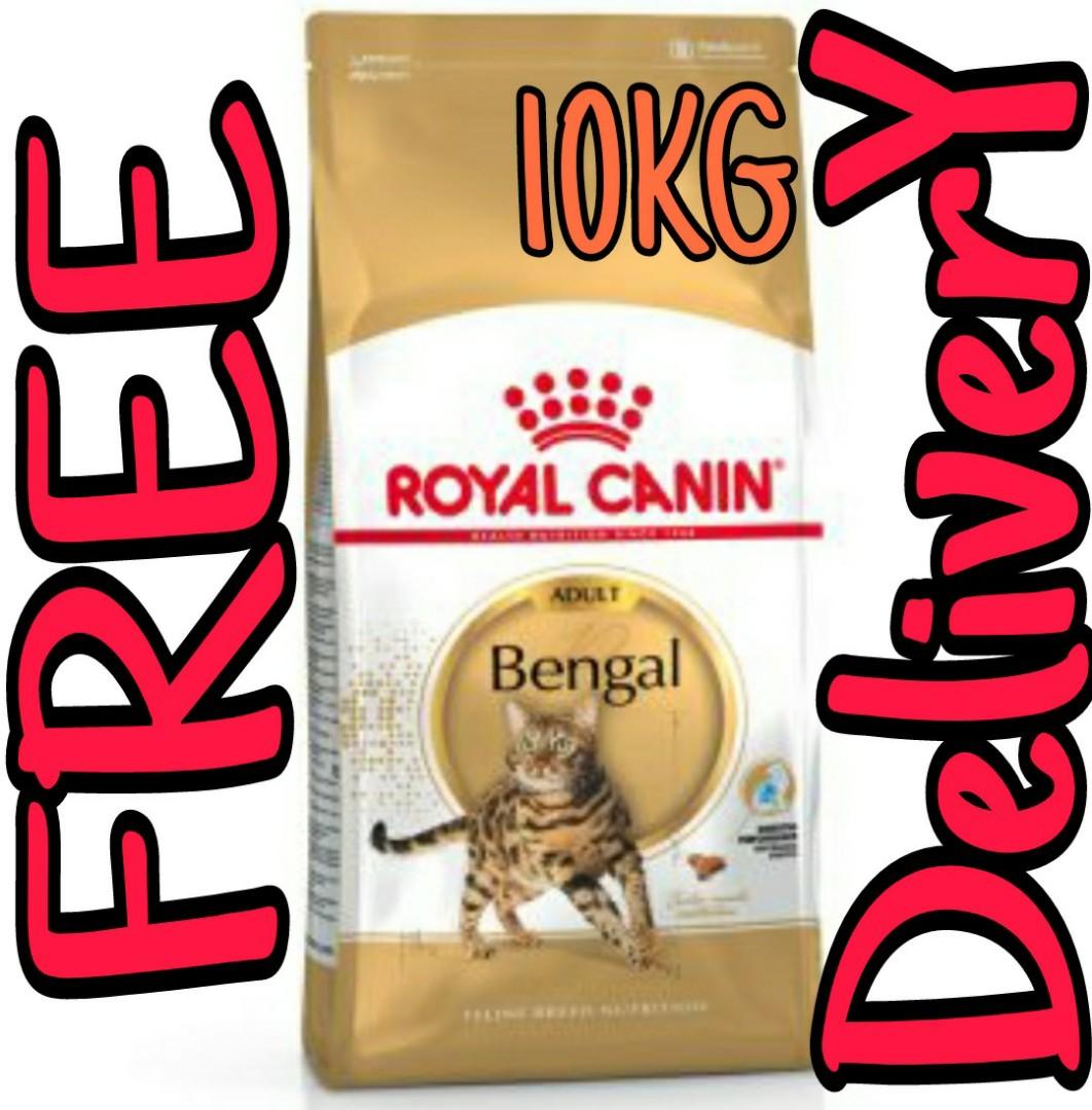 Bengal royal canin hotsell