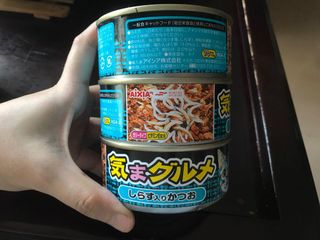 （分類：）位於 。 由 seeing2110 提交（商品編號 1037326038，圖片 1）。簡介： 。