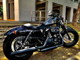 used harley sportster