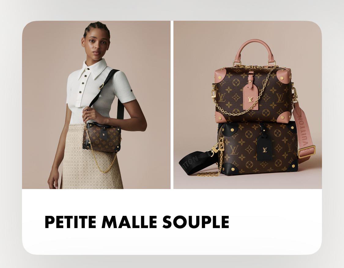 Petite Malle Souple Louis Vuitton 2020