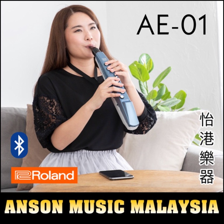 Roland aerophone online mini price