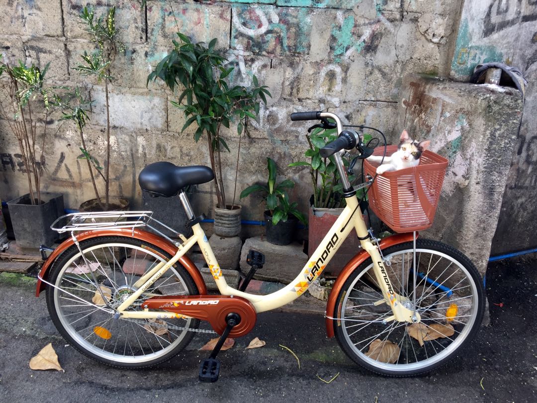 Japanese bike size 24 2025