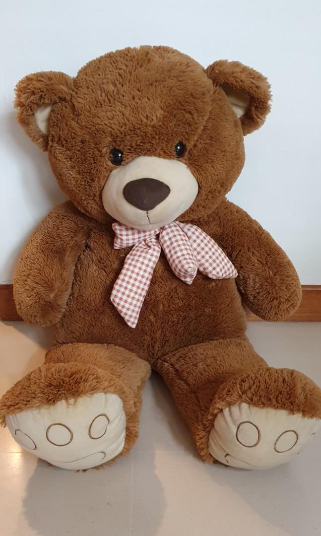 Teddy bear discount medium
