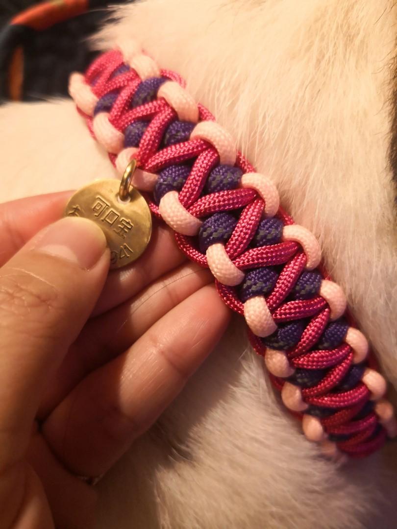 Custom paracord dog collar Clearance