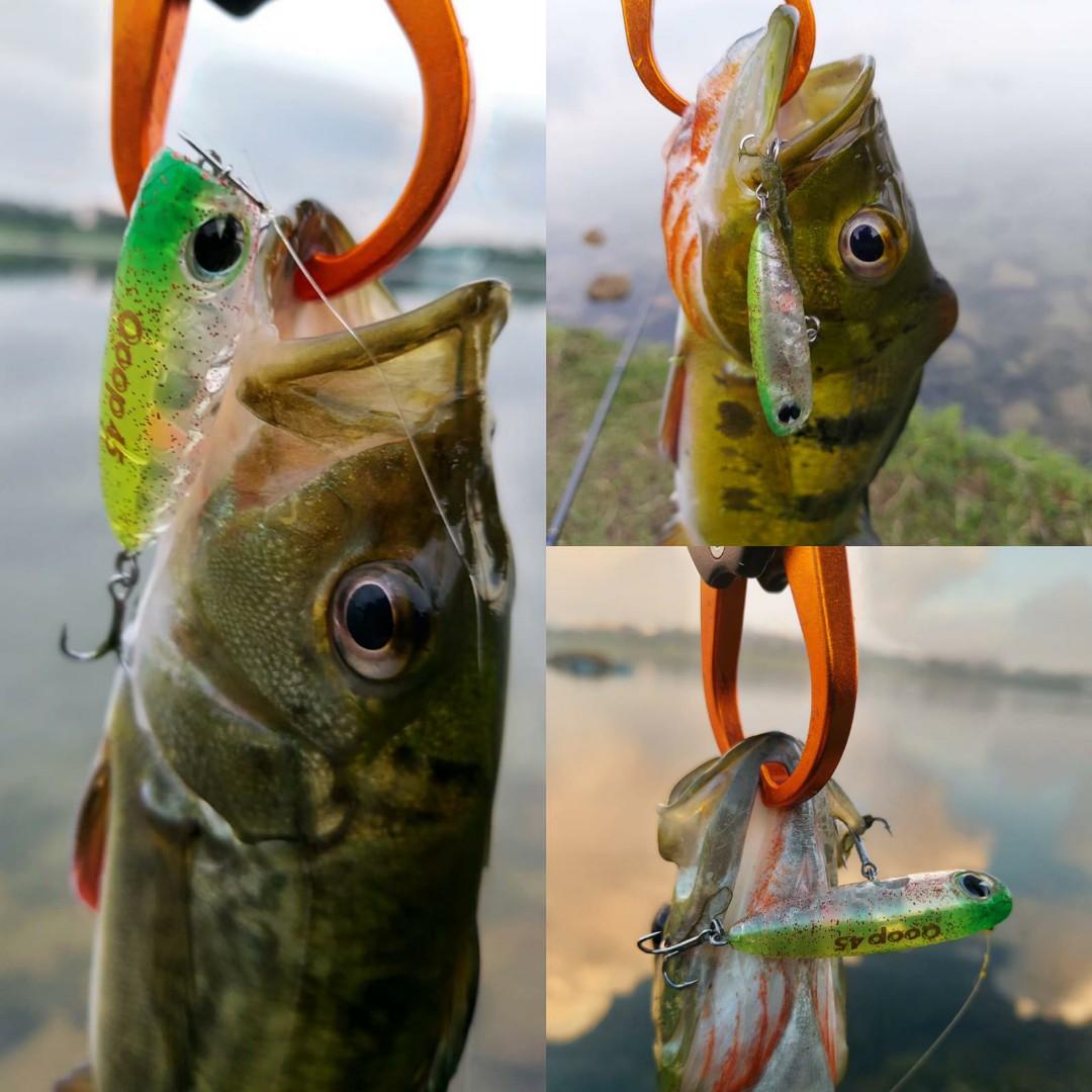 Ima qoop 45! Fishing lure! Topwater lure! Bfs! Peacock bass!