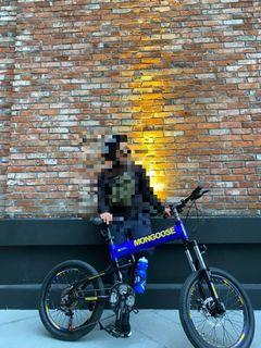 outdoor recumbent bikes for sale