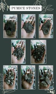 PUMICE STONES COCO PEAT CARBONIZED RICE HULL IPA LOAM SOIL AND MANURE FOR SALE