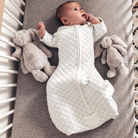 aden and anais grobag