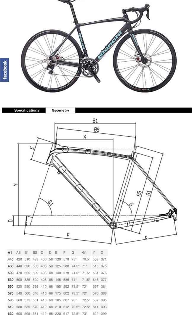 bianchi impulso s sport
