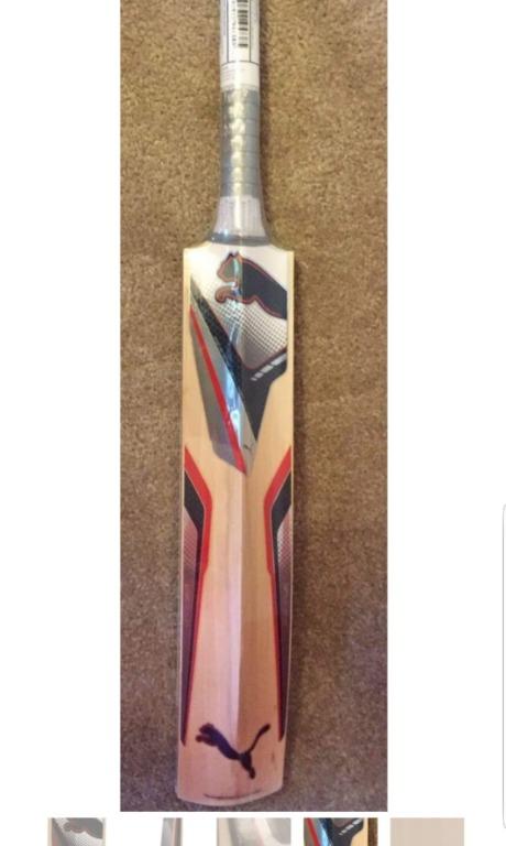 Puma platinum 5000 cricket bat hotsell