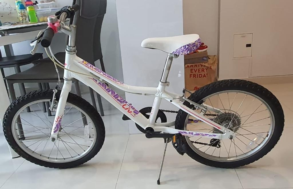 Giant Liv Areva 20