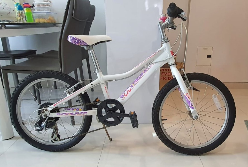 Giant Liv Areva 20