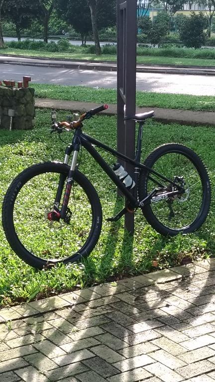 ns bikes eccentric alu