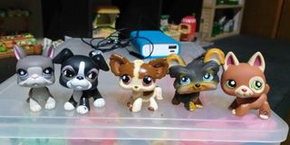 lps dogs and cats for sale