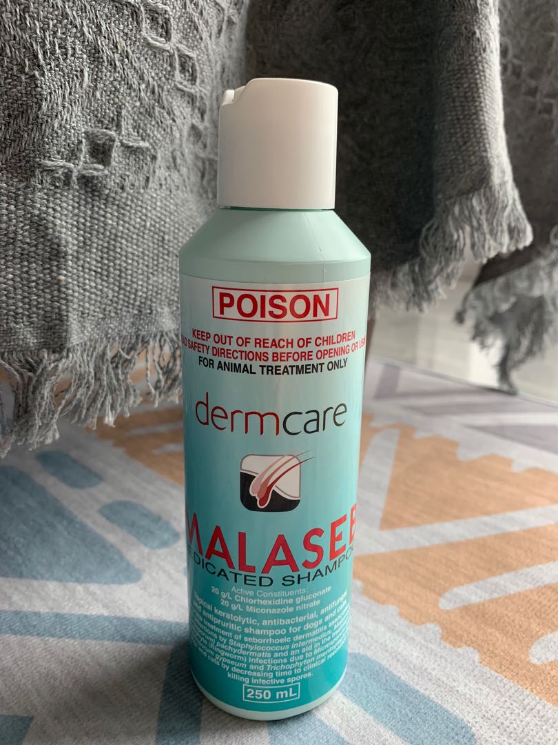 Malaseb shampoo for guinea pigs online