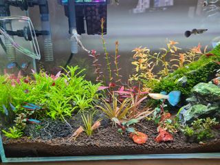 (Category: ) located in . Submitted by yjunsiang (Listing ID 1037656305, Image 1). Description: .