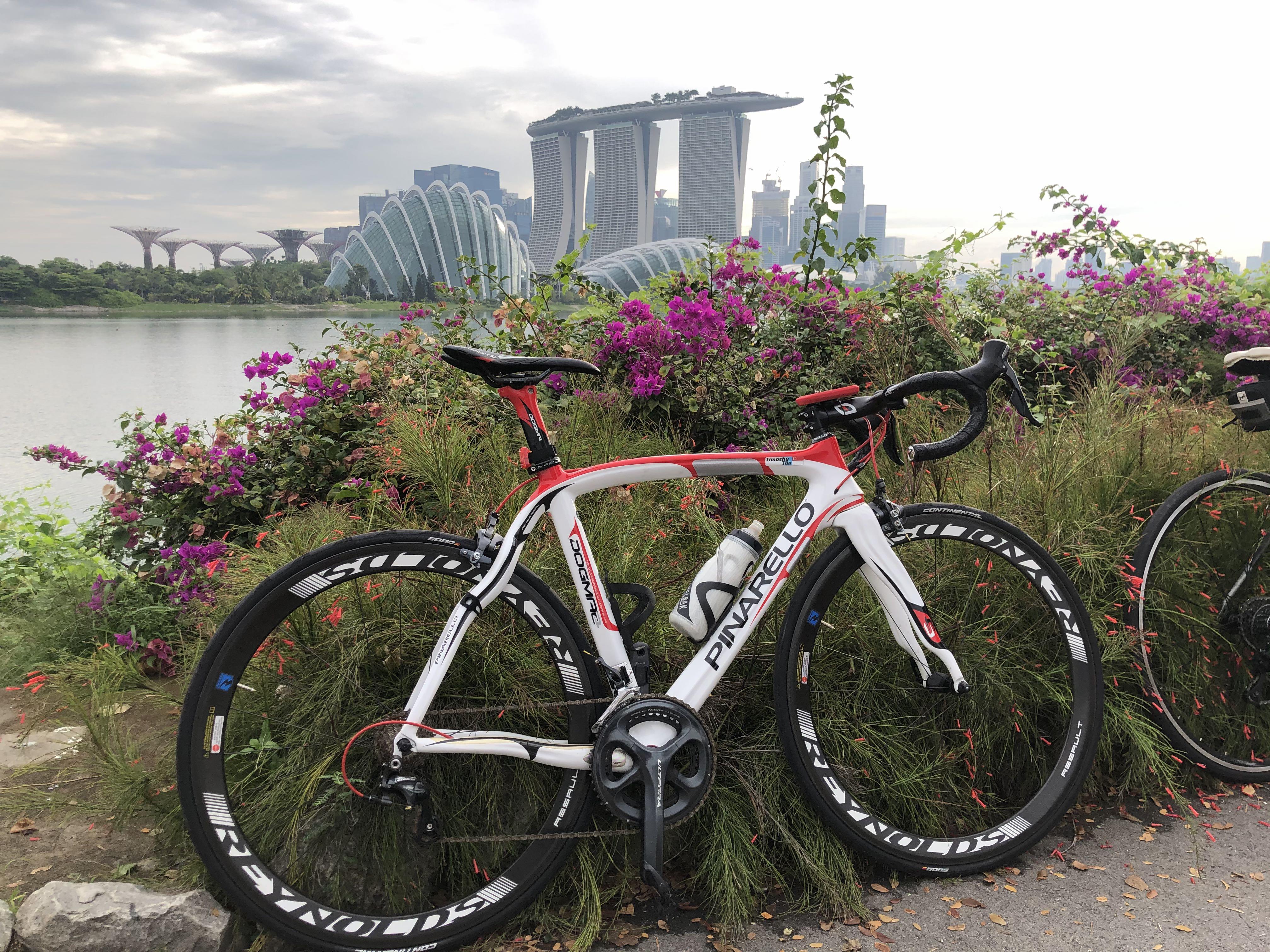 reynolds assault carbon clincher