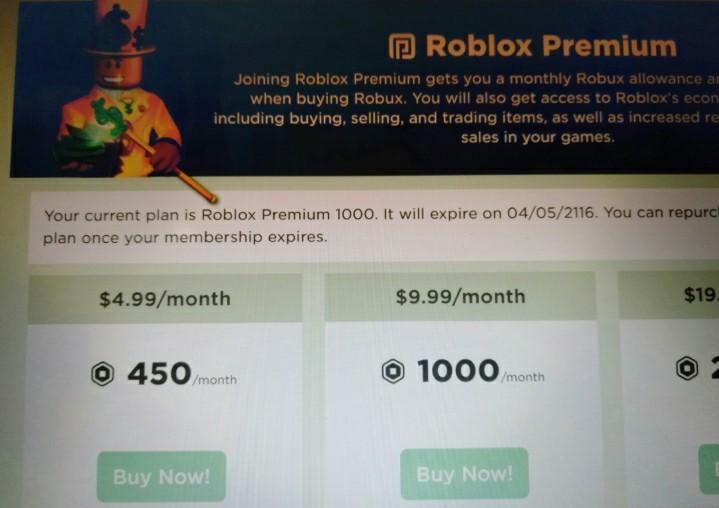 Roblox Premium 1000 Lifetime Video Gaming Gaming Accessories Game Gift Cards Accounts On Carousell - when did roblox stop selling lifetime membership