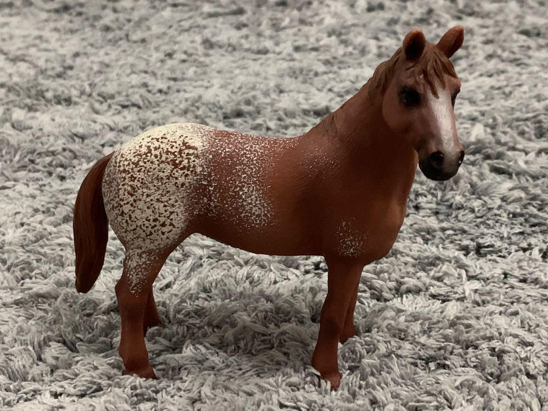 schleich appaloosa