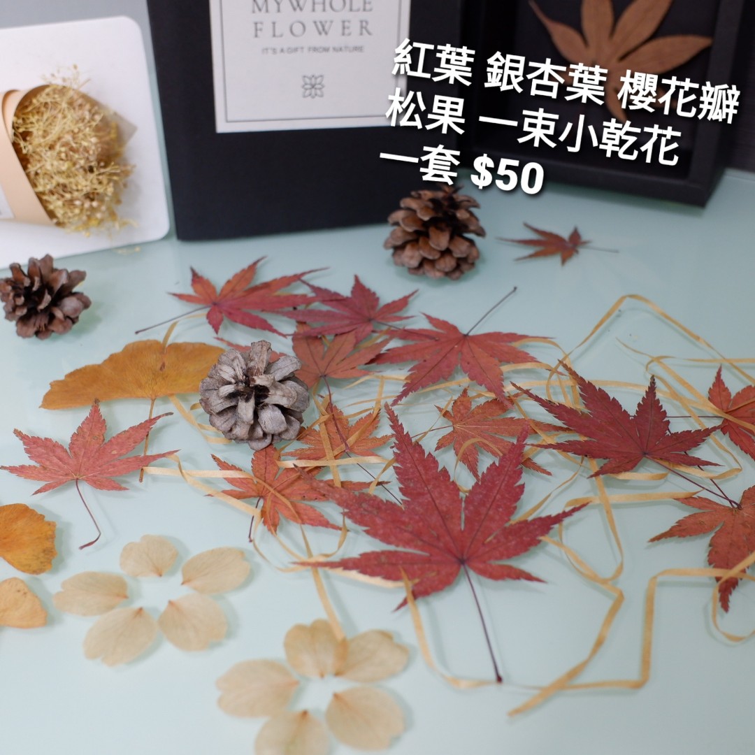 押葉 日本紅葉maple Leaf銀杏葉松果櫻花瓣 興趣及遊戲 手作 自家設計 工藝用品及工具 Carousell